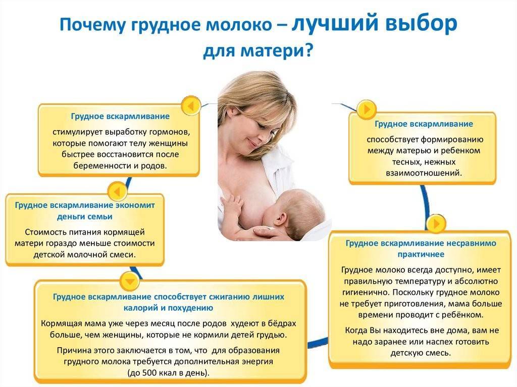 Признаки беременности после родов | аборт в спб