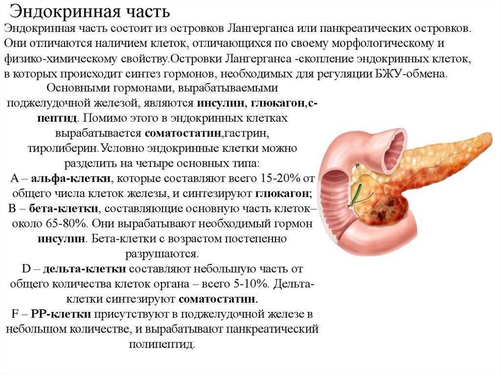 Патологии поджелудочной железы презентация