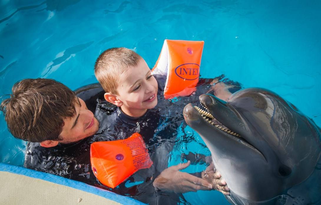 Дельфинотерапия: лечение дельфинами детей при дци и аутизме, отзывы