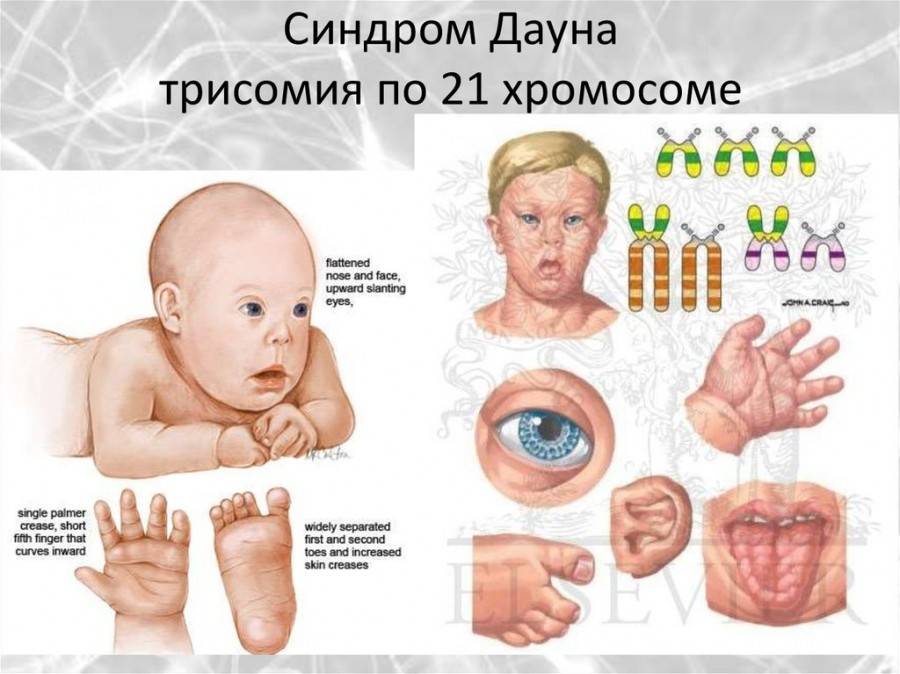 7 дней после переноса эмбрионов