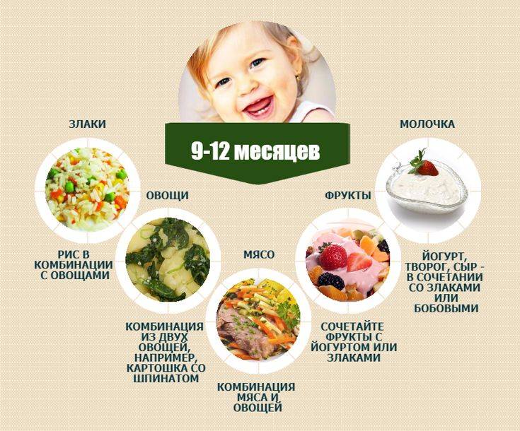 Меню 12 месячного ребенка на каждый день: схема питания, полезная и вредная еда