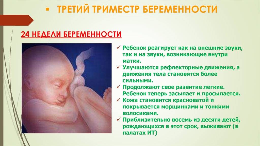 2 триместр беременности: с какой недели, что происходит с плодом, возможные осложнения