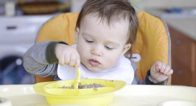 Учим ребенка кусать пищу | lovi