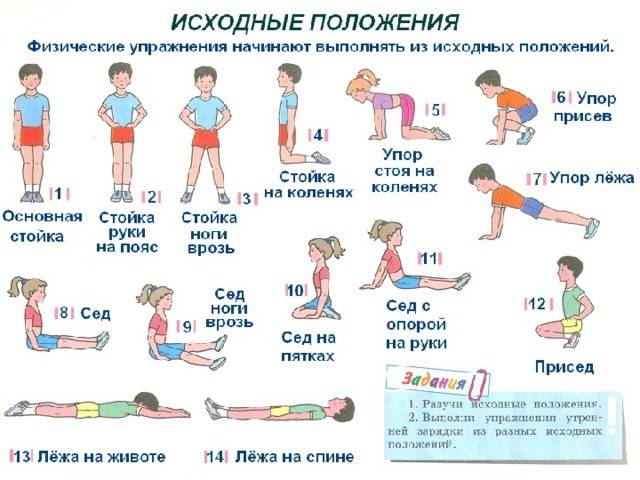 Зарядка для детей 1-2 лет: гимнастика и упражнения
