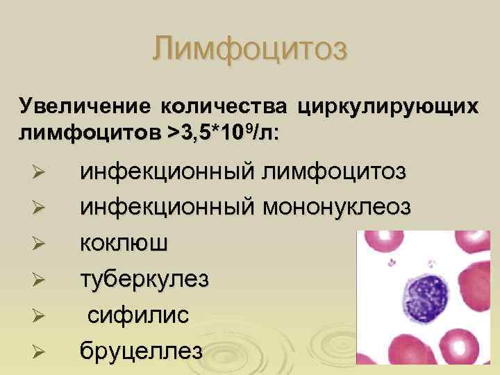Общий анализ крови: полная расшифровка | медицинский центр ваше здоровье