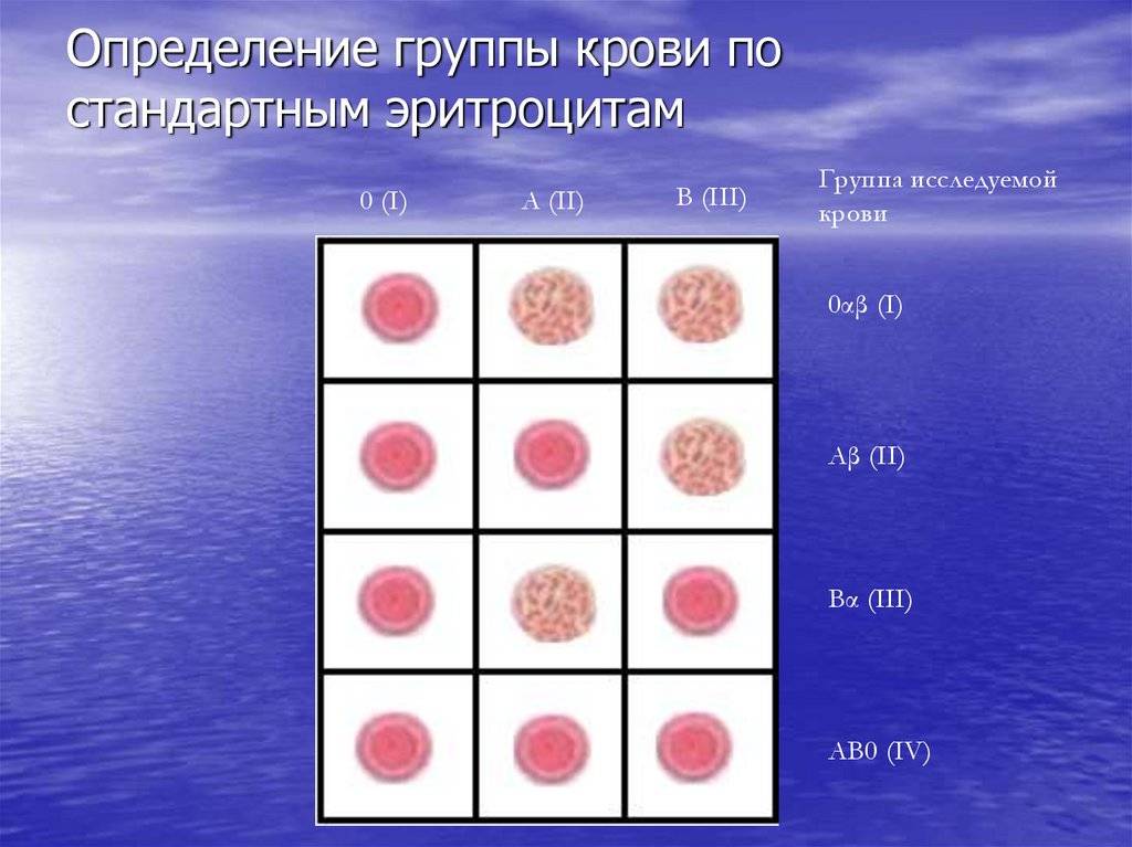 Группа крови