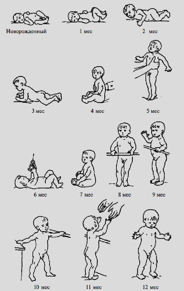 Гимнастика для детей грудного возраста (до года)