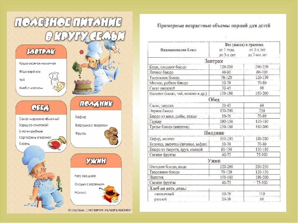Организация питания в детском садике — нормы и правила, время приема пищи, как контролируется поставка продуктов