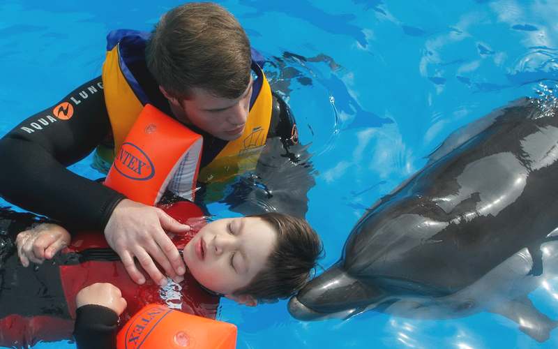 Дельфинотерапия и ее польза для детей