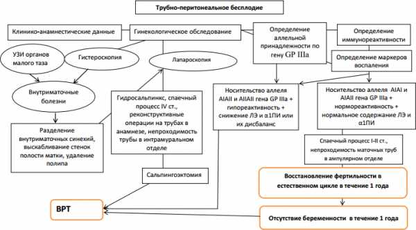 Причины и методы лечения бесплодия | арт-эко – клиника лечения бесплодия в москве