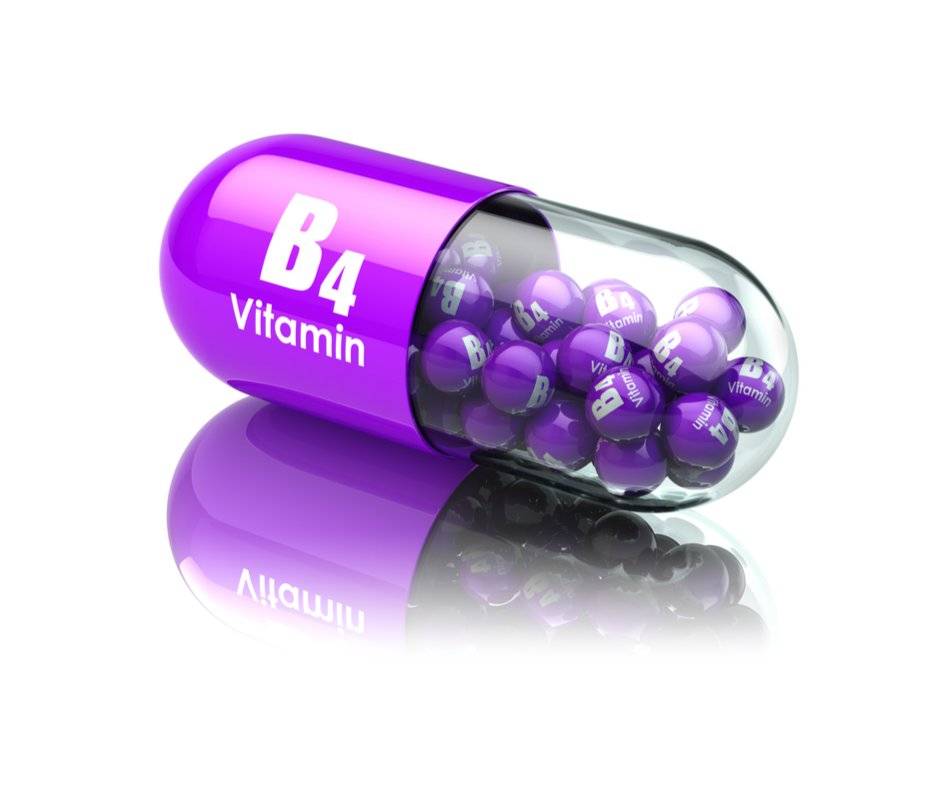 Витамин b4 (холин): где содержится, характеристика, суточная норма и инструкция по применению
