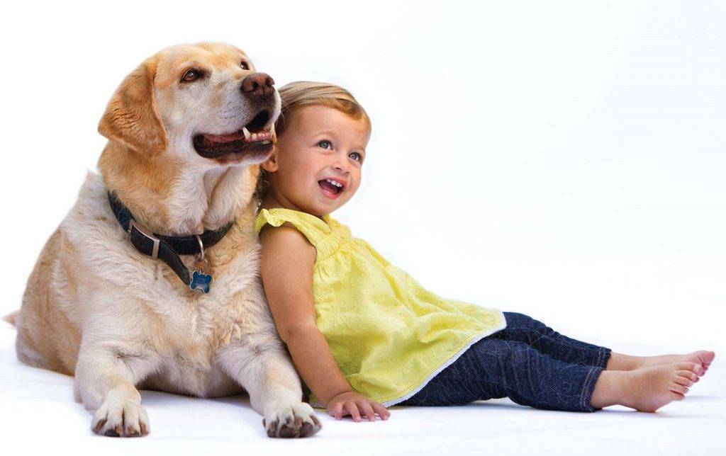 Влияние домашних животных на развитие ребенка