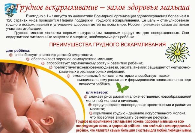 Все о грудном вскармливании: советы молодой маме - новости yellmed.ru
