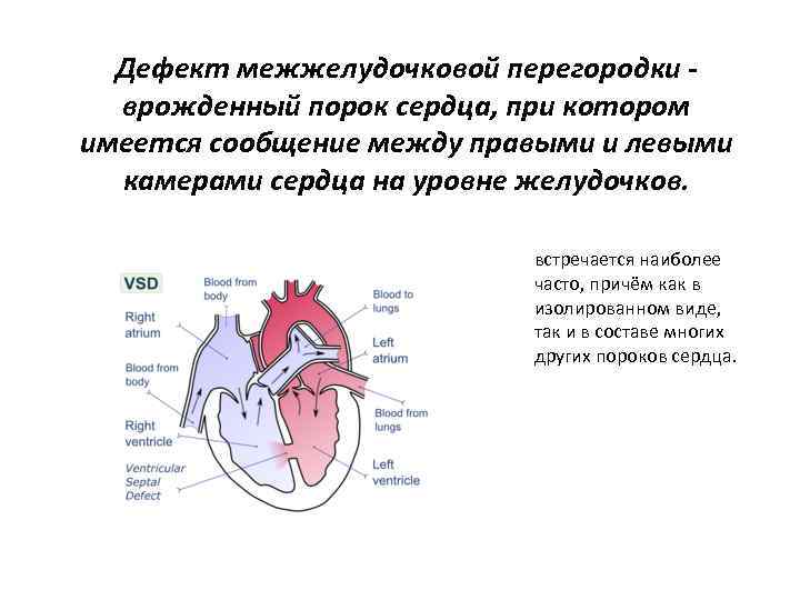 Врожденный порок сердца у новорожденных: симптомы, лечение | клиника "центр эко" в москве
