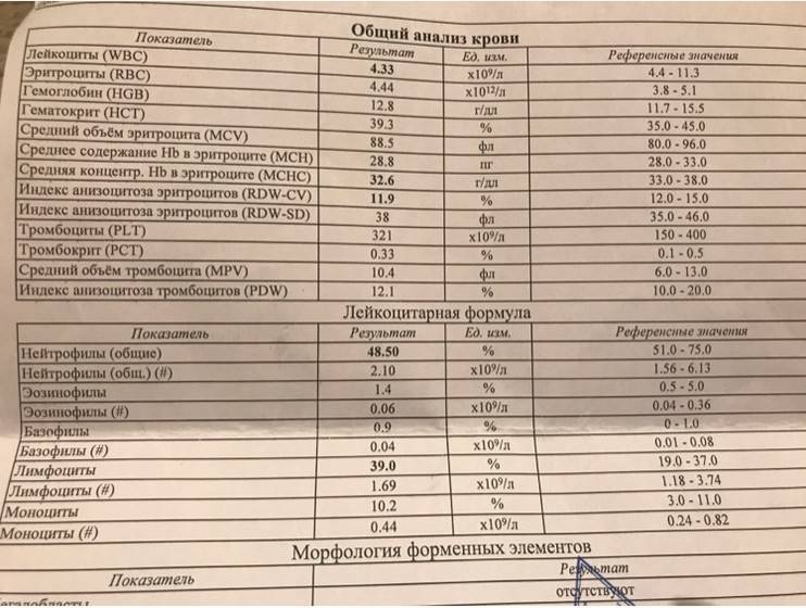 Анализы для эко мужчине