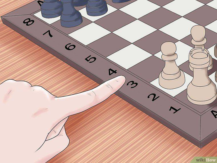 Шахматы для начинающих - правила игры, ходы фигур, инструкции для детей