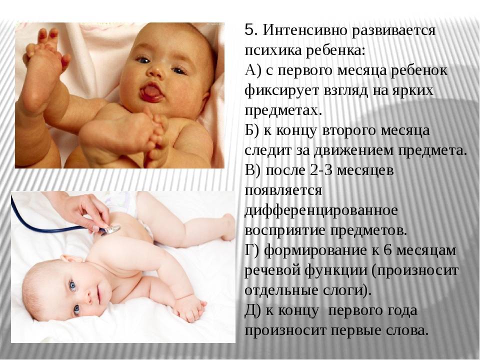 Узи новорожденному как комплексная оценка состояния здоровья малыша: мнение эксперта