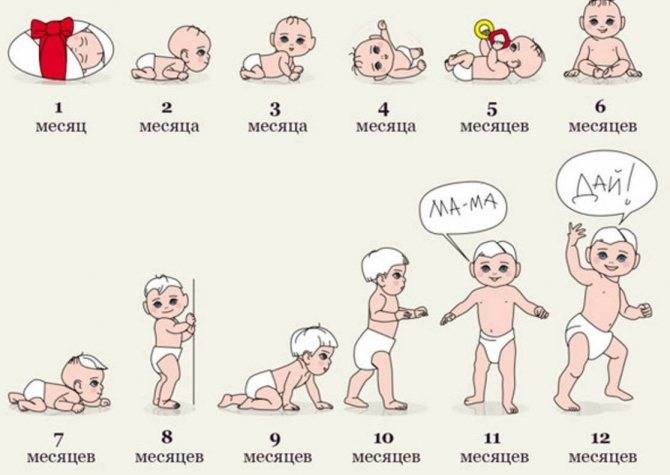 Зрение у новорожденных по месяцам - как меняется