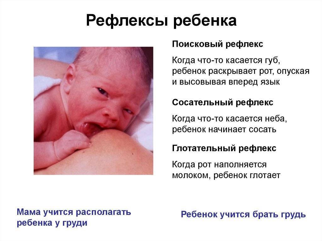 Церебральная ишемия головного мозга у новорожденных
