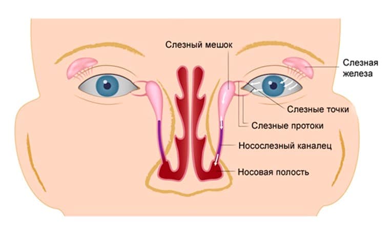 Зондирование и бужирование носослезного канала у детей и взрослых в москве