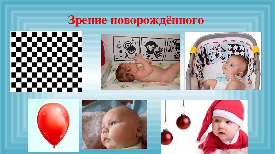 Зрение у новорожденных «ochkov.net»