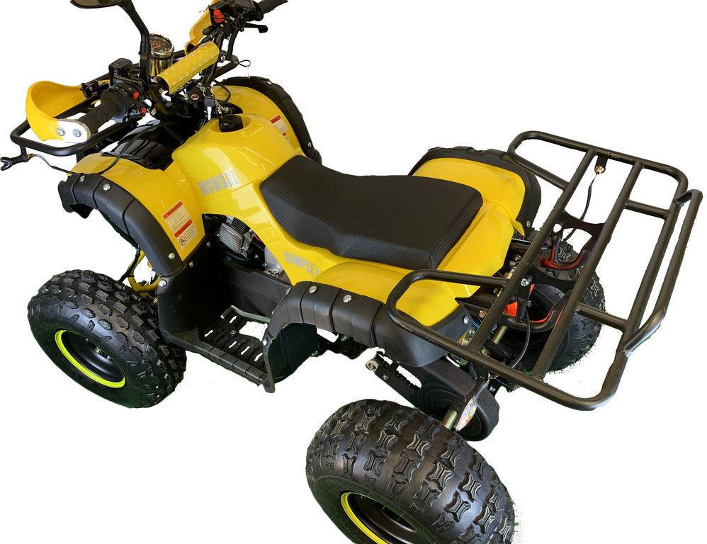 Обзор популярных моделей детских квадроциклов на бензине, характеристики и описание