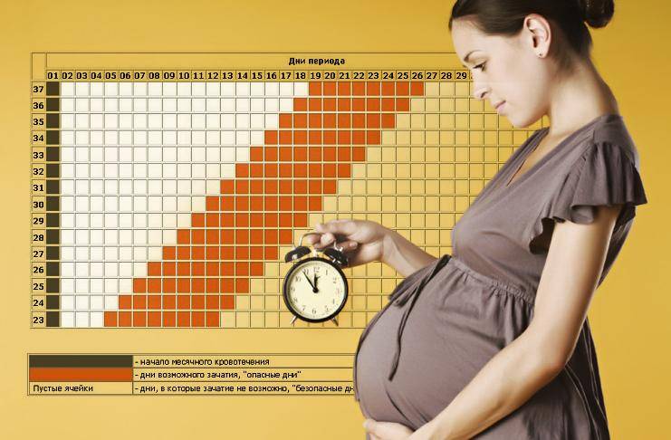 Календарь беременности: рассчитать онлайн для беременных. особенности расчета и интерактивный акушерский календарь 2021. расчет по триместрам, месяцам, неделям и дням