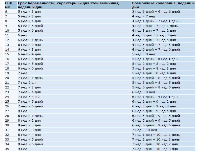 Эмбрион по неделям беременности фото и размеры