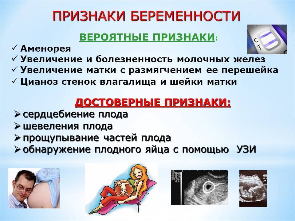 Диагностика беременности - определение на ранних сроках
