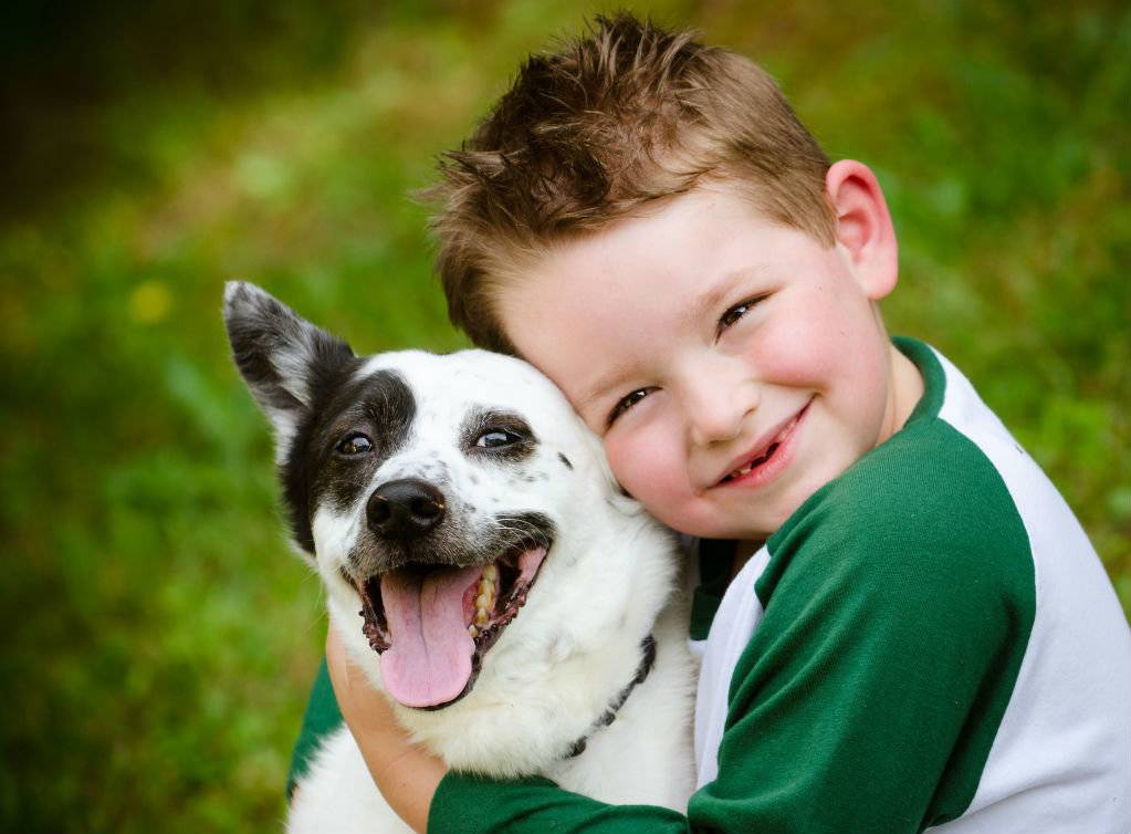 Дети и домашние животные: важные советы психолога