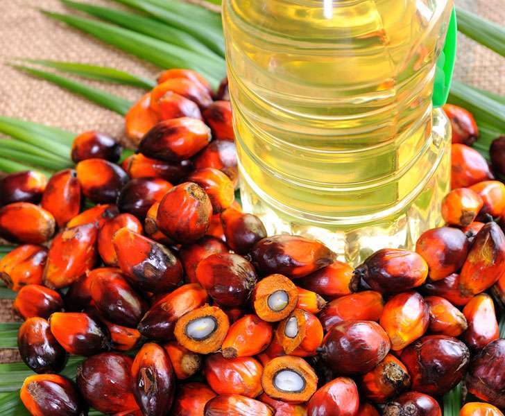 Пальмовое масло в детском питании и смесях: польза и вред, пальмовый олеин