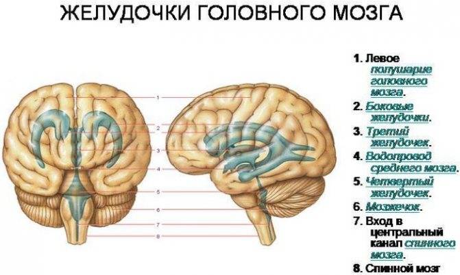 Нарушение венозного оттока