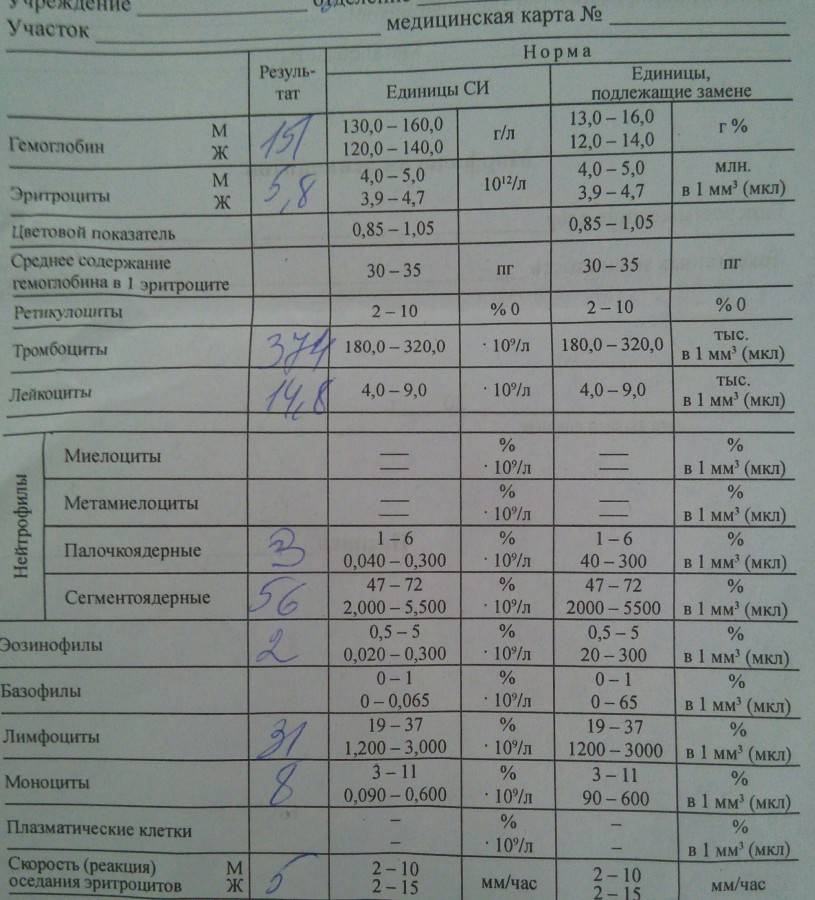 Расшифровка анализа крови у детей онлайн по фото