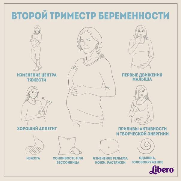 Второй триместр – период расцвета беременности