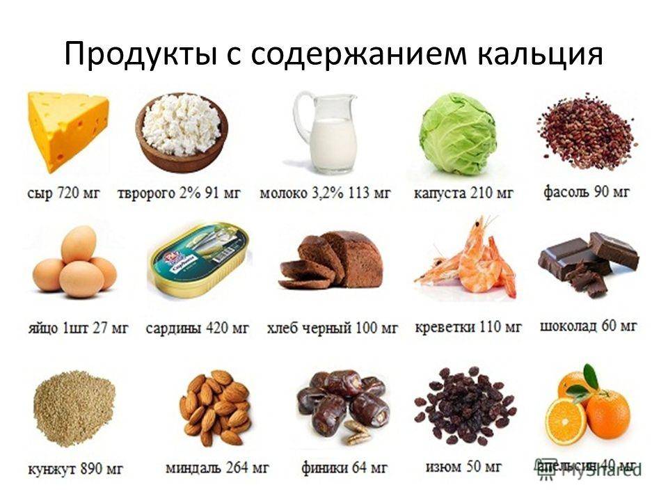 Таблица содержания кальция в продуктах питания