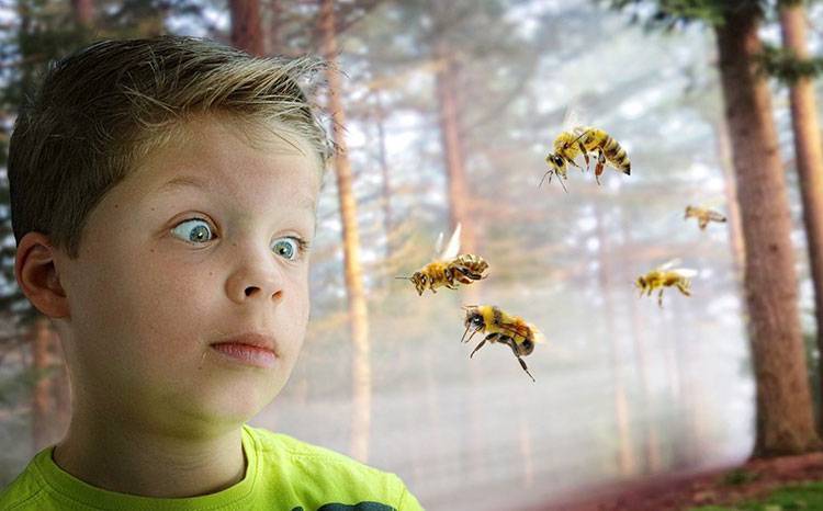 Энтомофобия. что делать, если ребенок боится насекомых? - дети в безопасности
