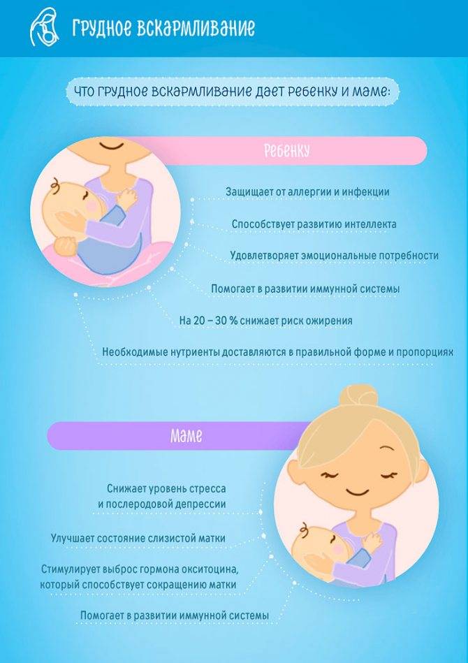 Грудное вскармливание: всё для комфорта мамы и малыша с первых дней жизни - причины, диагностика и лечение