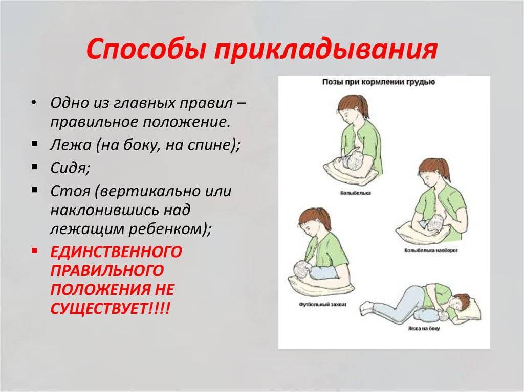 Как правильно прикладывать новорожденного к грудному вскармливанию сидя фото в домашних