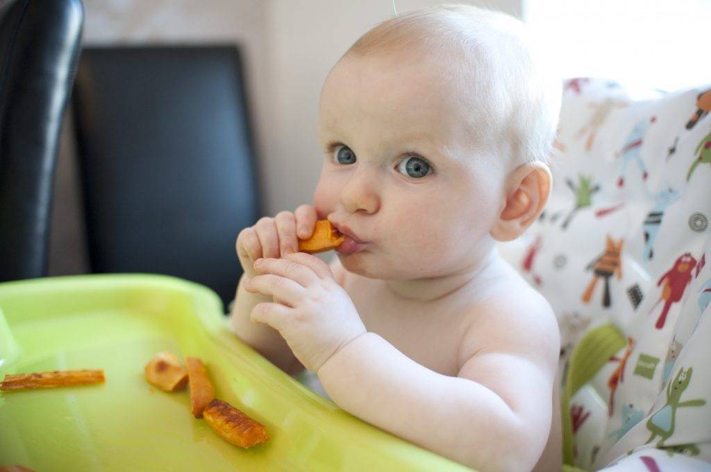 Как приучить ребенка к твердой пище: советы родителям и типичные ошибки