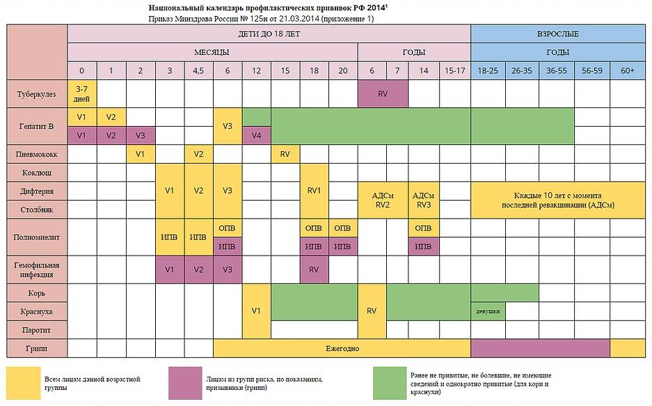 Календарь прививок: график и таблица для детей до 1 года по месяцам