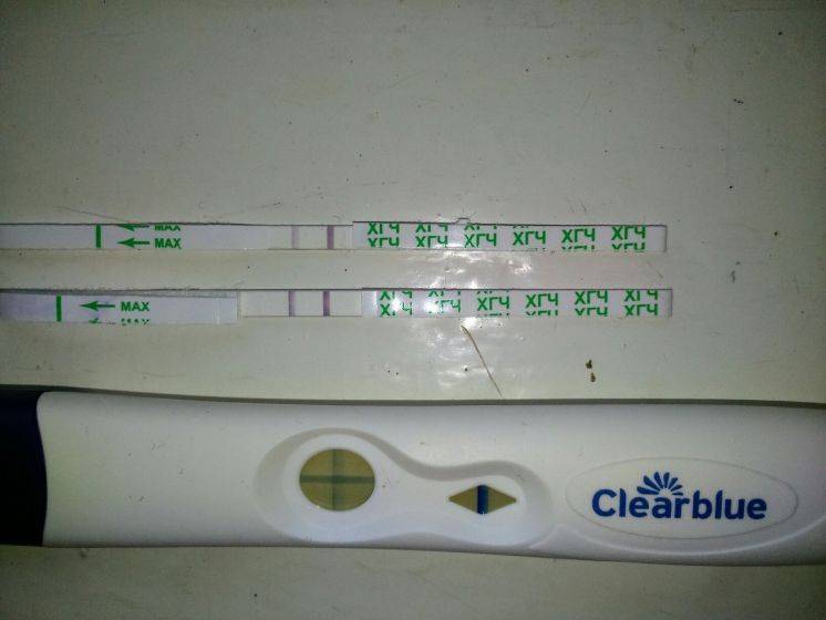 Тест отрицательный, а беременность есть: почему так бывает?