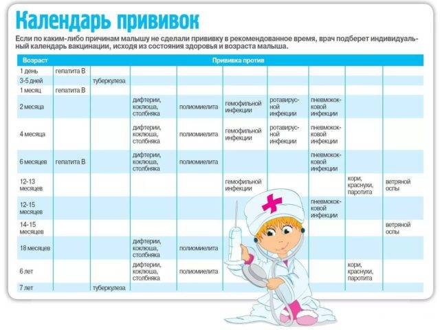 Календарь прививок для детей до 1 года и до 14 лет и профилактическая вакцинация для взрослых
