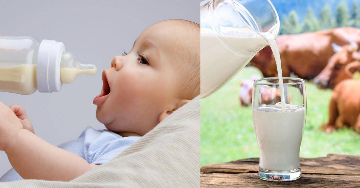С какого возраста можно давать молоко