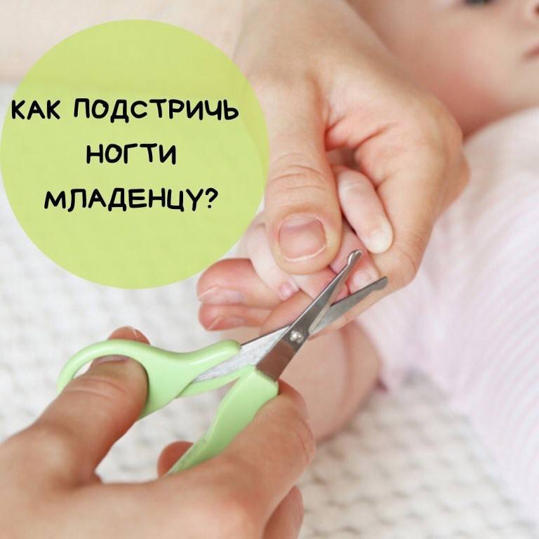 Ножницы для новорожденных – какие лучше? когда можно стричь, как подстричь ногти новорожденному?