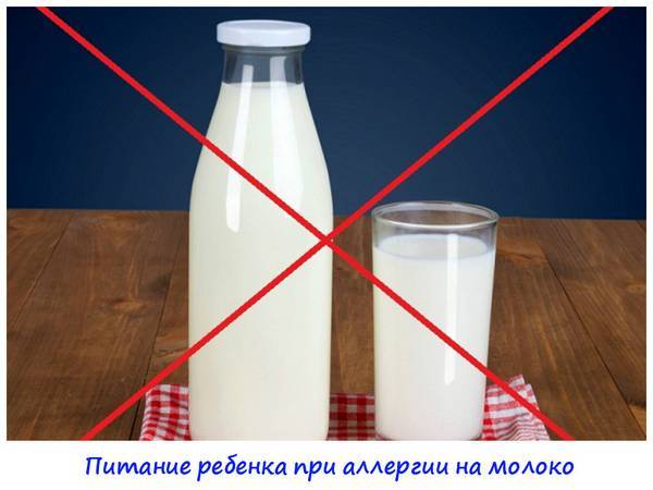 Козье молоко для кормящей мамы: можно ли пить, полезные свойства, противопоказания