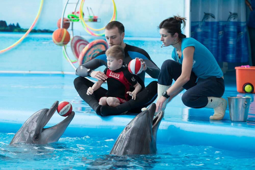 Дельфинотерапия - лечение в сети дельфинариев немо