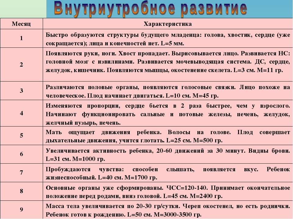 Развитие ребенка по неделям. Этапы внутриутробного развития плода таблица. Развитие плода по месяцам таблица. Периоды развития плода по неделям таблица. Особенности развития плода во внутриутробном периоде.