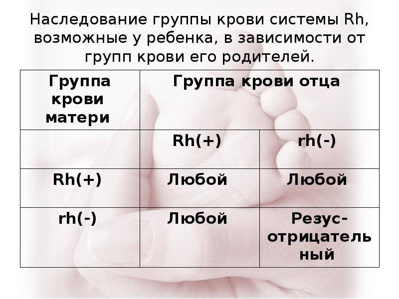 Резус положительный наследуется