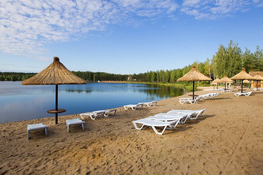 Отдых в санкт-петербурге с детьми - путеводитель, куда сходить