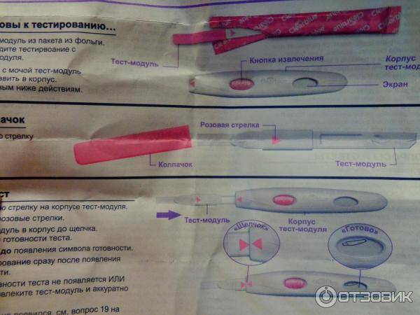 Как проводить тест на беременность? — clearblue